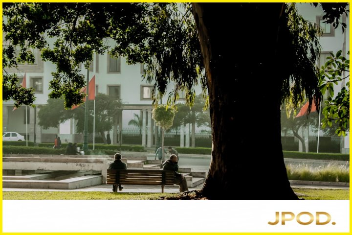 معرفی انواع کارتریج پاد و کاربرد آن‌ها (G2, G3, P1) — تصویر 2